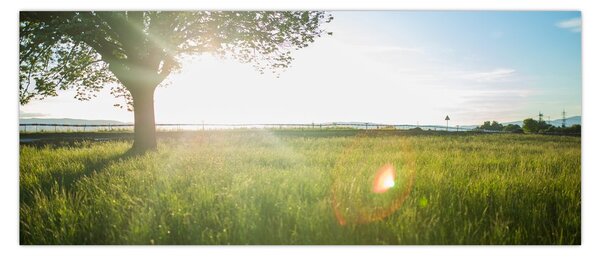 Tablou cu lunca în vară (120x50 cm)