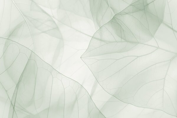 Tapet Nervurile abstracte ale frunzelor, Imagini de fundal unice, w05474 : Uwalls.ro