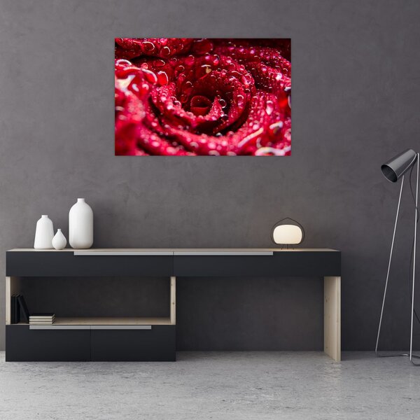 Tablou cu floarea trandafirului roșu (90x60 cm)