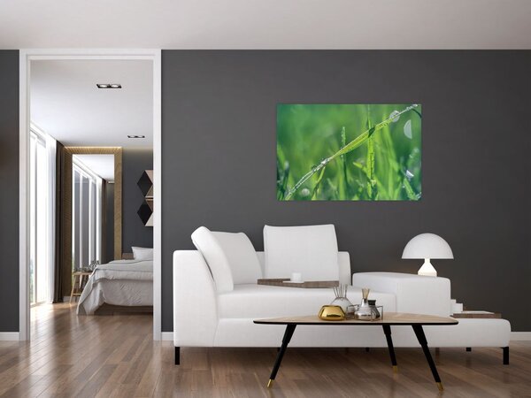 Tablou cu picături de rouă (90x60 cm)