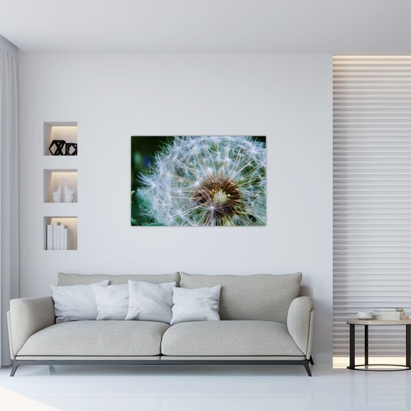 Tabloul cu păpădie desflorit (90x60 cm)
