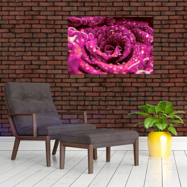 Tabloul cu floarea trandafirului roz (90x60 cm)