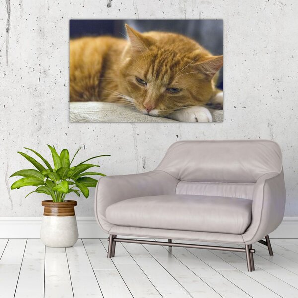 Tabloul pisicii (90x60 cm)
