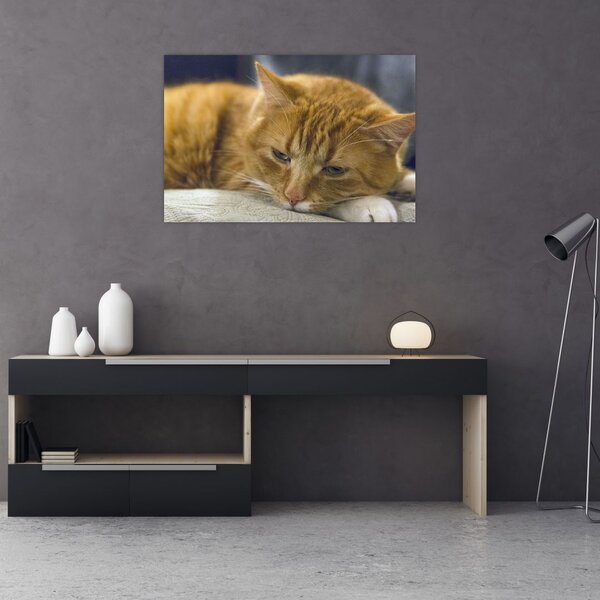 Tabloul pisicii (90x60 cm)