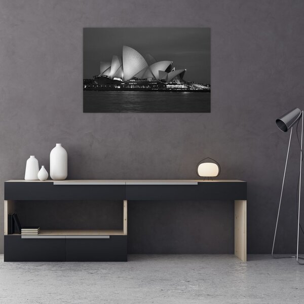 Tablou cu Opera din Sydney (90x60 cm)