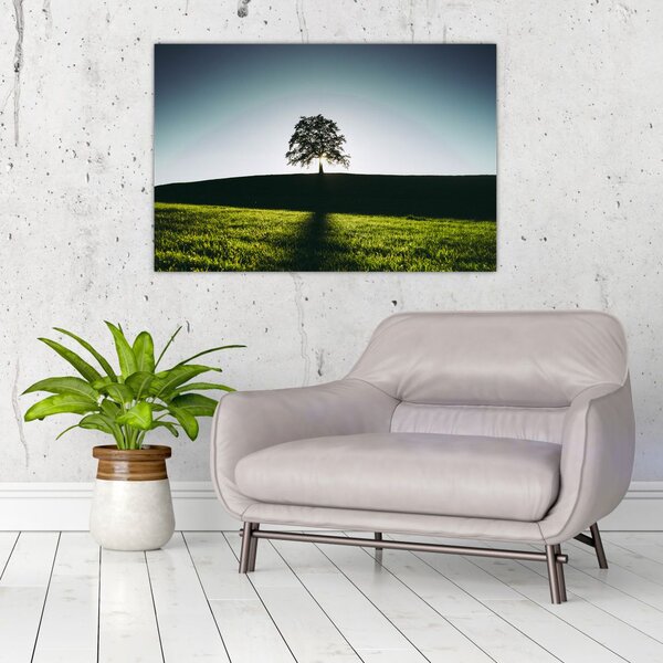 Tablou cu natura - copac (90x60 cm)