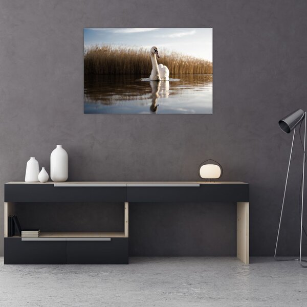 Tablou cu lebăda (90x60 cm)
