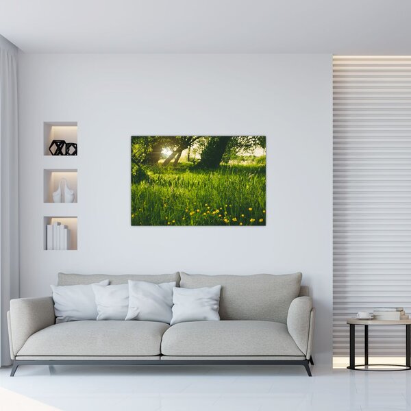 Tablou cu natura - lunca (90x60 cm)