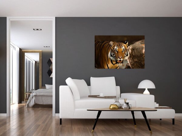 Tablou cu tigrul (90x60 cm)