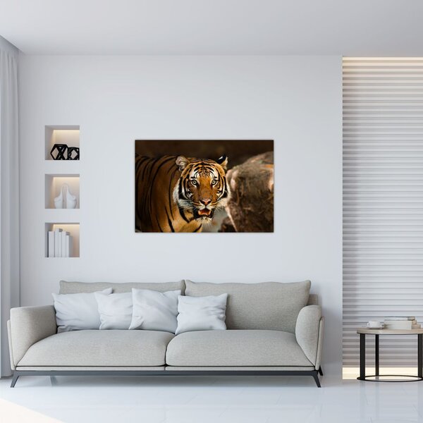 Tablou cu tigrul (90x60 cm)