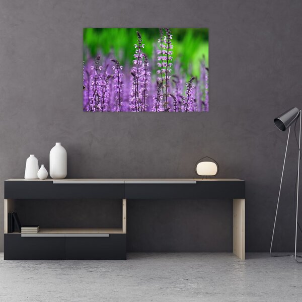 Tablou cu flori de luncă violete (90x60 cm)