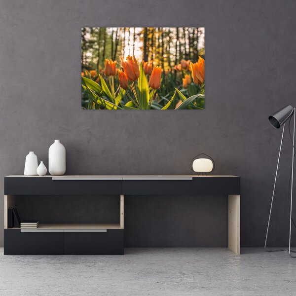Tablou - florile lalelelor (90x60 cm)