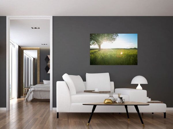Tablou cu lunca în vară (90x60 cm)