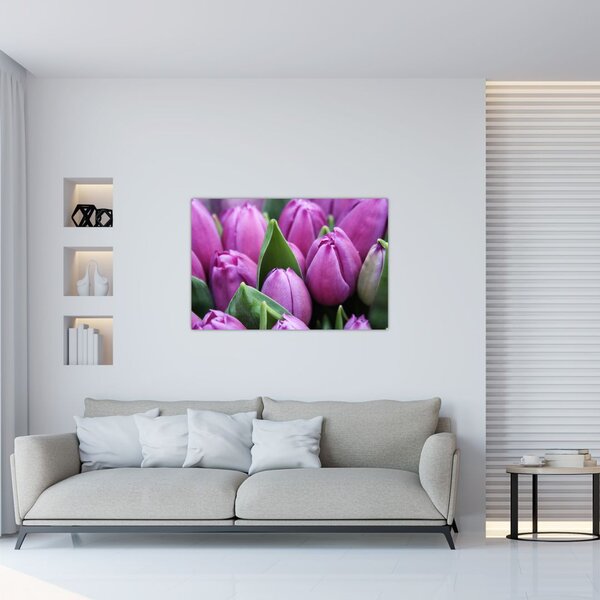 Tablou - florile lalelelor (90x60 cm)