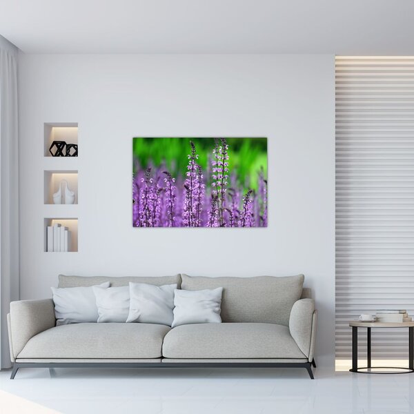 Tablou cu flori de luncă violete (90x60 cm)