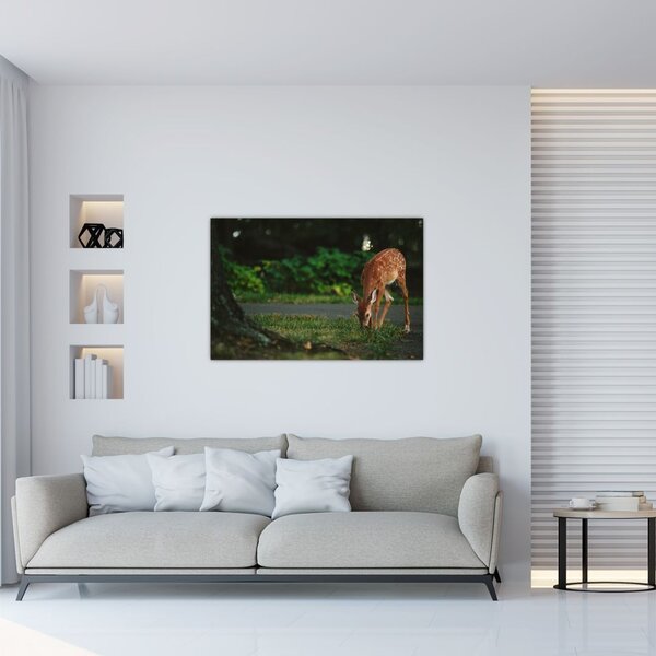 Tablou cu pui de cerb (90x60 cm)