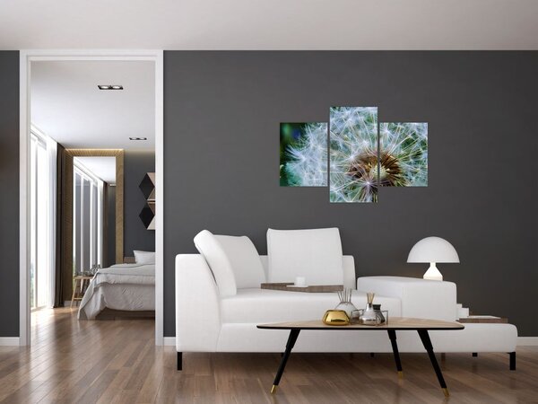 Tabloul cu păpădie desflorit (90x60 cm)