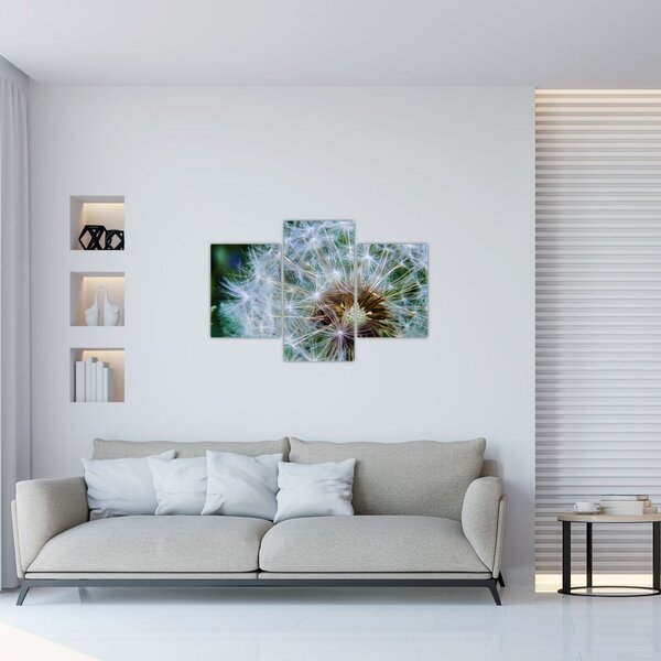 Tabloul cu păpădie desflorit (90x60 cm)