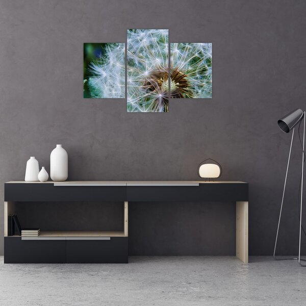 Tabloul cu păpădie desflorit (90x60 cm)