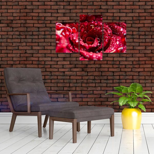 Tablou cu floarea trandafirului roșu (90x60 cm)