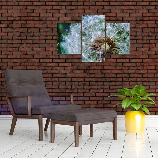 Tabloul cu păpădie desflorit (90x60 cm)