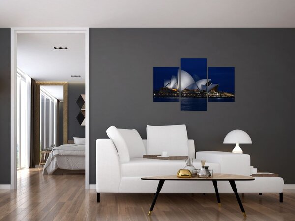 Tabloul Sydney nocturn (90x60 cm)