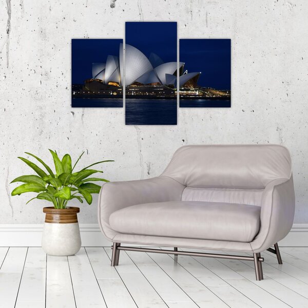 Tabloul Sydney nocturn (90x60 cm)