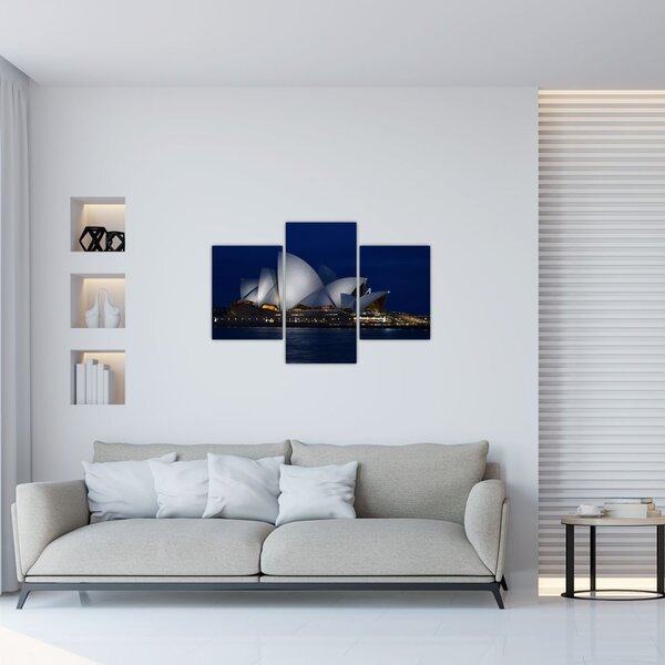 Tabloul Sydney nocturn (90x60 cm)