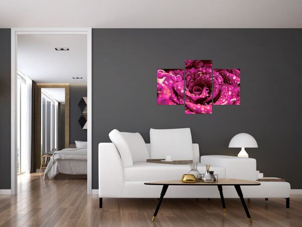 Tabloul cu floarea trandafirului roz (90x60 cm)