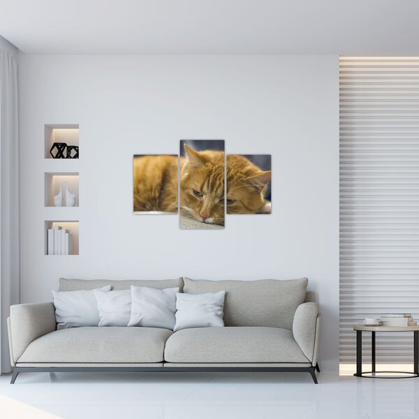 Tabloul pisicii (90x60 cm)