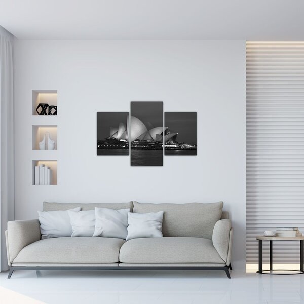 Tablou cu Opera din Sydney (90x60 cm)