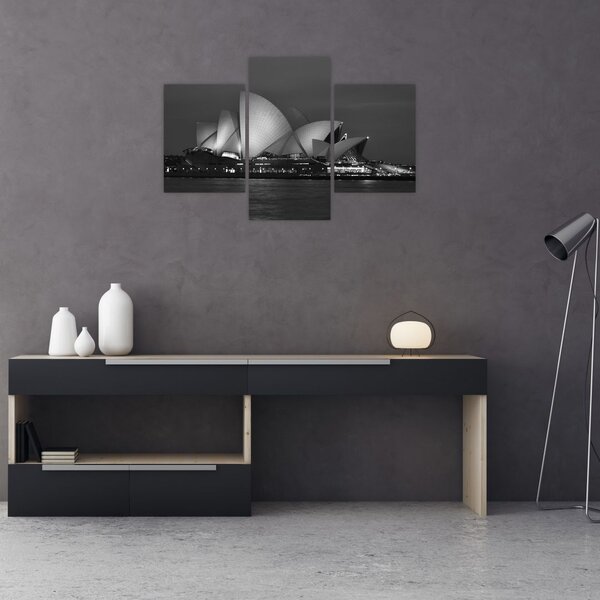 Tablou cu Opera din Sydney (90x60 cm)