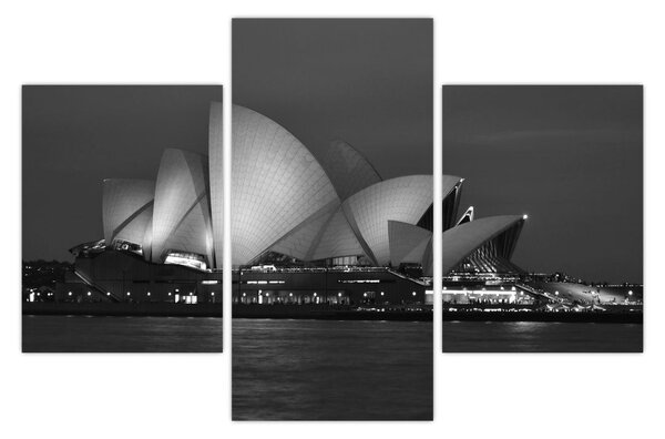 Tablou cu Opera din Sydney (90x60 cm)
