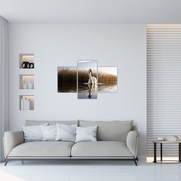 Tablou cu lebăda (90x60 cm)