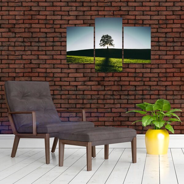 Tablou cu natura - copac (90x60 cm)