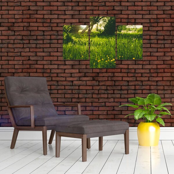 Tablou cu natura - lunca (90x60 cm)