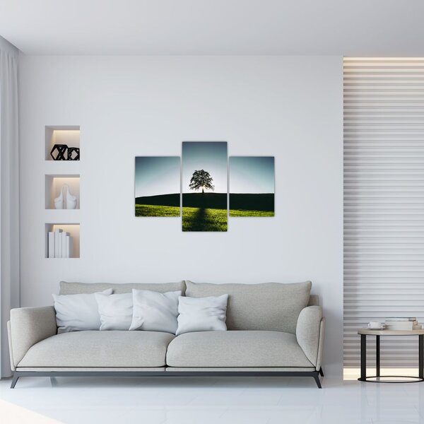 Tablou cu natura - copac (90x60 cm)