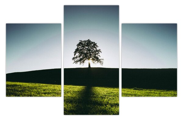 Tablou cu natura - copac (90x60 cm)