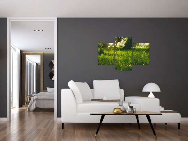 Tablou cu natura - lunca (90x60 cm)