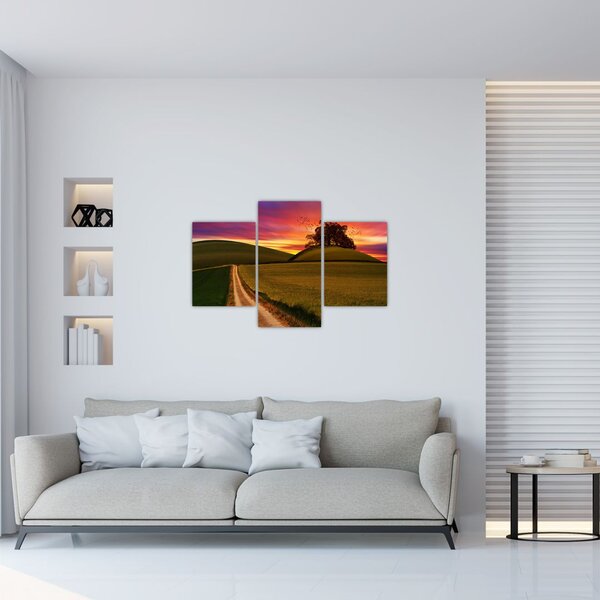 Tablou cu câmp și cerul colorat (90x60 cm)