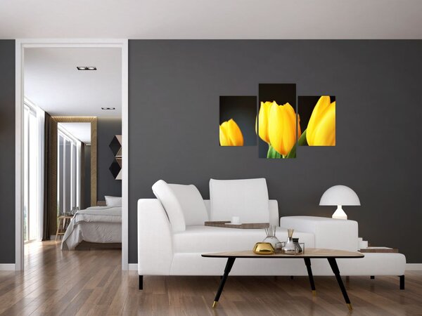 Tablou cu lalele (90x60 cm)