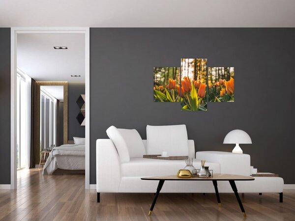 Tablou - florile lalelelor (90x60 cm)