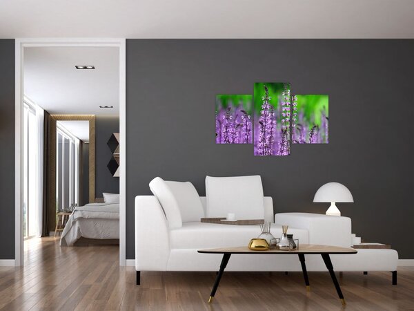 Tablou cu flori de luncă violete (90x60 cm)