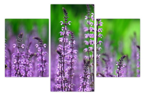 Tablou cu flori de luncă violete (90x60 cm)