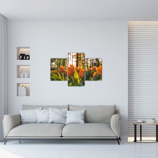 Tablou - florile lalelelor (90x60 cm)