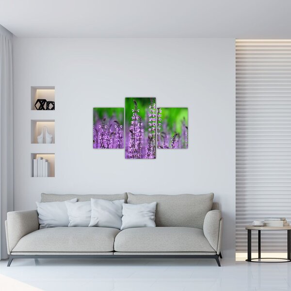 Tablou cu flori de luncă violete (90x60 cm)