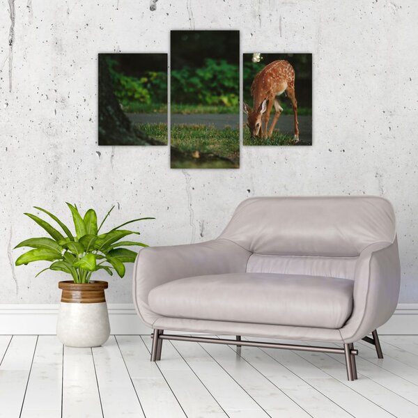 Tablou cu pui de cerb (90x60 cm)