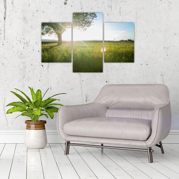 Tablou cu lunca în vară (90x60 cm)