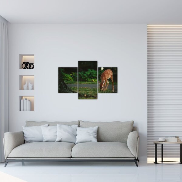 Tablou cu pui de cerb (90x60 cm)