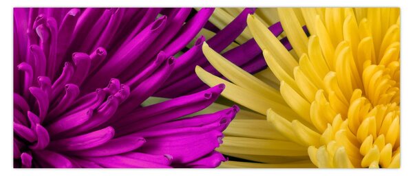 Tablou - detailu cu flori (120x50 cm)